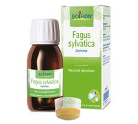 FAGUS SYLVATICA BOIRON MG 60ML