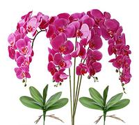 FagusHome Fiori artificiali Phalaenopsis da 81,3 cm, 4 pezzi con 2 fasci di foglie, orchidea artificiale, piante a stelo per la decorazione della casa (viola)