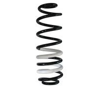 Fahrwerksfeder Posteriore SPIDAN Molla a Spirale Ø115mm Per FORD ECOSPORT