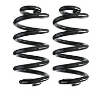 Fahrwerksfedern-Set Assale Posteriore Molla Elicoidale Ø117mm SPIDAN per U A.G