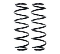 Fahrwerksfedern-Set Assale Posteriore Molla Elicoidale Ø119mm SPIDAN per E A.