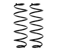 Fahrwerksfedern-Set Assale Posteriore Molla Elicoidale Ø119mm SPIDAN per U. A.G