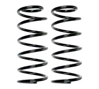 Fahrwerksfedern-Set Assale Posteriore Molla Elicoidale Ø121mm SPIDAN per ECC A.