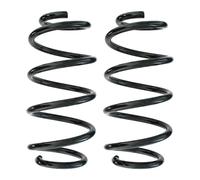 Fahrwerksfedern-Set Assale Posteriore Molla Elicoidale Ø122mm SPIDAN per E A.G