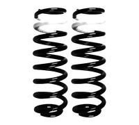 Fahrwerksfedern-Set Assale Posteriore Molla Elicoidale Ø122mm SPIDAN per ECC A.