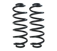 Fahrwerksfedern-Set Assale Posteriore Molla Elicoidale Ø123mm SPIDAN per e, A.