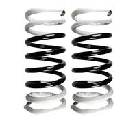 Fahrwerksfedern-Set Assale Posteriore Molla Elicoidale Ø178mm SPIDAN per U. A.