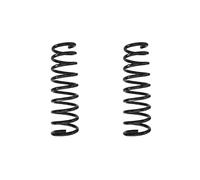 Fahrwerksfedern-Set Assale Posteriore Molla Elicoidale Ø89mm SPIDAN per E A. Kia
