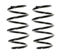 Fahrwerksfedern-Set Asse Ant. Molla Elicoidale Ø103mm SPIDAN per U. A. Smart