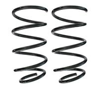 Fahrwerksfedern-Set Asse Ant. Molla Elicoidale Ø137mm SPIDAN per Altre Cose Mini