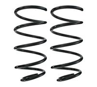 Fahrwerksfedern-Set Asse Ant. Molla Elicoidale Ø141mm SPIDAN per Altre Cose