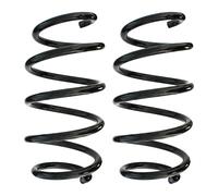 Fahrwerksfedern-Set Asse Ant. Molla Elicoidale Ø142mm SPIDAN per U. A. VW Passat