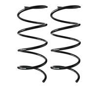 Fahrwerksfedern-Set Asse Ant. Molla Elicoidale Ø170mm SPIDAN per U. A. Mercedes