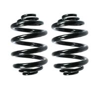 Fahrwerksfedern-Set Molla Posteriore Ø 160mm SPIDAN per Vari