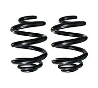 Fahrwerksfedern-Set Molla Spirale Posteriore Ø 165mm SPIDAN per Vari