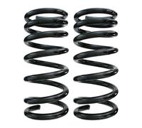 Fahrwerksfedern-Set Posteriore Molla Elicoidale Ø153mm SPIDAN per Altre Cose