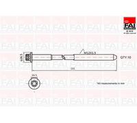 FAI AutoParts B896 Kit bulloni testata