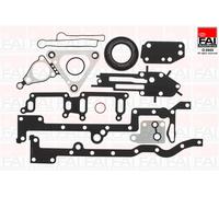 FAI AutoParts CS1002 Kit guarnizioni, Monoblocco per CITROËN,FIAT,FORD,JAGUAR,LA