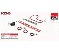 FAI AutoParts TCK100 KIT CATENA DISTRIBUZIONE