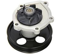 FAI Autoparts WP6195 - Pompa Acqua