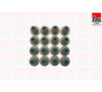 FAI Autoricambi VSK2291 Set Di Guarnizioni, Stelo Valvola Per FORD, FORD USA