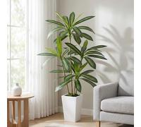 Fairblo Piante Finte da Interno Grande 160cm Albero di Dracaena Artificiale