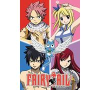 Fairy Tail, Quad Poster-11 x 17 pollici, 28 x 43 cm