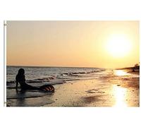 Fairy Tales Beauty Fish Fish In Ocean Sea Beach Sunset Bandiera Da Giardino 90X150Cm Doppia Faccia Banner Stagionali Bandiera All'Aperto Per Casa Estiva Fattoria