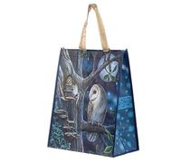 Fairy Tales Owl and Fairy Lisa Parker Reusable Shopping Bag-NWBAG63