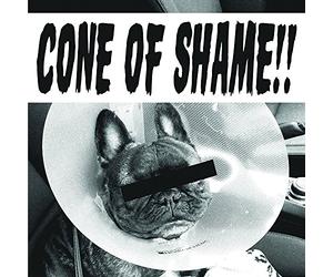 Faith No More - Cone Of Shame