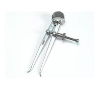 Faithfull Calibro A Molla Interno 200Mm (8In) FAICALIN8