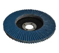 FAITHFULL Flap Disc 100 millimetri di Belle
