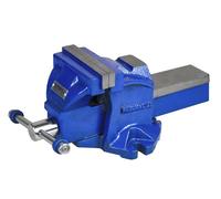 Faithfull Morsa Meccanica Con Mandibole Magnetiche 125Mm 5In FAIMV125SG