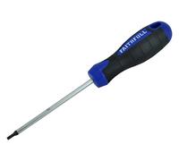 Faithfull Screwdriver Punta Star (Torx) TX15 x 100Mm FAISDT15