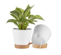 FaithLand Confezione da 2 vasi da 20 cm per piante da interno ed esterno, vasi da fiori autoirriganti con piattini profondi, bianco con terracotta..