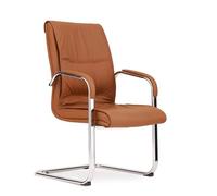 FAJNUZI2024 Sedia da ufficio Sedia for ospiti in pelle PU for ufficio domestico for reception, riunioni, conferenze e sala d'attesa, ufficio, casa, con braccioli Sedia Ergonomica(Bruin)