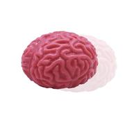 Fake Brain - Stretchy Squeeze Brain Toy | Slow Rebound Sensory Toy