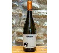 Falanghina 2023 Campania IGP Falanghina San Salvatore 1988 75c 13% Stio Campania