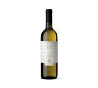 Falanghina Beneventano IGP Torre Varano Vino Bianco 75cl Spedizione Rapida