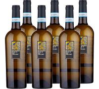 Falanghina Feudi di San Gregorio | Confezione da 6 Bottiglie da 75 Cl | Vino Bianco | I Vini della Campania | Idea Regalo