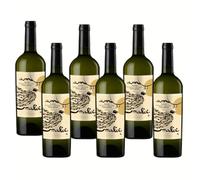 Falanghina Irpinia DOC | Za Monaca | Vino Bianco della Campania | 6 Bottiglie 75Cl | Idea Regalo