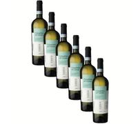 Falanghina Sannio DOP | Cantina di Solopaca | Vino Bianco della Campania | 6 Bottiglie 75Cl | Offerta