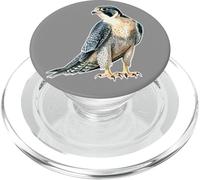 Falco pellegrino cercando PopSockets PopGrip per MagSafe