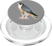 Falco pellegrino x Falco PopSockets PopGrip per MagSafe