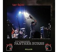Falco,Tav & Panther Burns - Administrator Blues