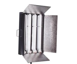 Falcon Eyes Luce del giorno Lampada DFL-554 4 x 55W