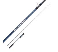 FALCON Vertical Killer - Canna da Pesca Vertical, Light Jigging, Slow Pitch, Due Misure, 6'8'' (BLUE 250 GR)