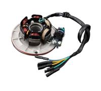 FALELELV Bobina Statore Bobina statore Illuminazione Magnete per YX150 YX160 per 150CC-160CC Dirt Pit Bike Parti di motociclette