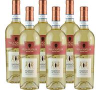 Falerno del Massico Doc | Villa Matilde | Vino Bianco della Campania | 6 Bottiglie 75Cl | Idea Regalo