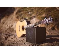 Falken1 Traveller - Amplificatore acustico